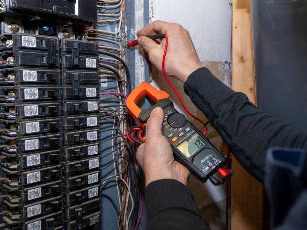 Best Home Electrical Repair  in Ellisburg, NJ